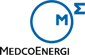 MEDCO LLC